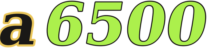 a6500 logo